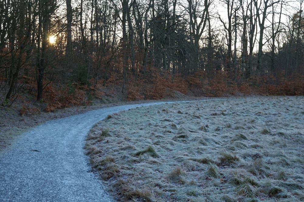 frozen morning ground